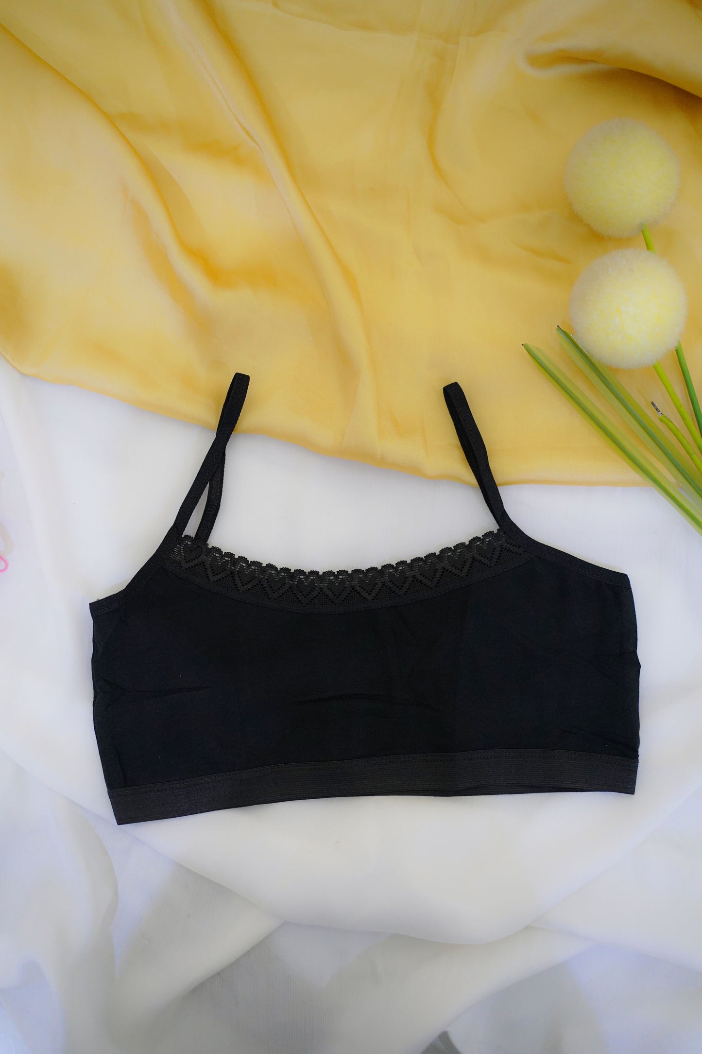 Cotton BeeDee for Girls-solid colors (pack of 2)